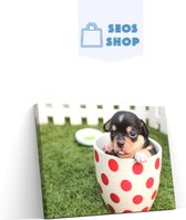 SEOS Shop ® Diamond Painting Volwassenen - Diamond Painting Kinderen - Diamond Painting Pakket Volledig - Pakket Puppy in een mok - 45x30 cm