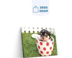 SEOS Shop ® Diamond Painting Volwassenen - Diamond Painting Kinderen - Diamond Painting Pakket Volledig - Pakket Puppy in een mok - 45x30 cm