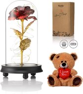 Rose de Luxe en Glas avec LED + ours en peluche - Rose dorée dans une cloche en Verres - Saint Valentin - Connu de La Beauty et la Bête - Cadeau pour petite amie mère elle - Pied sombre - Qwality