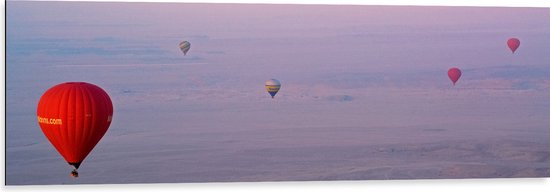 WallClassics - Dibond - Ballonvaarten in Verschillende Luchtballonnen - 120x40 cm Foto op Aluminium (Met Ophangsysteem)