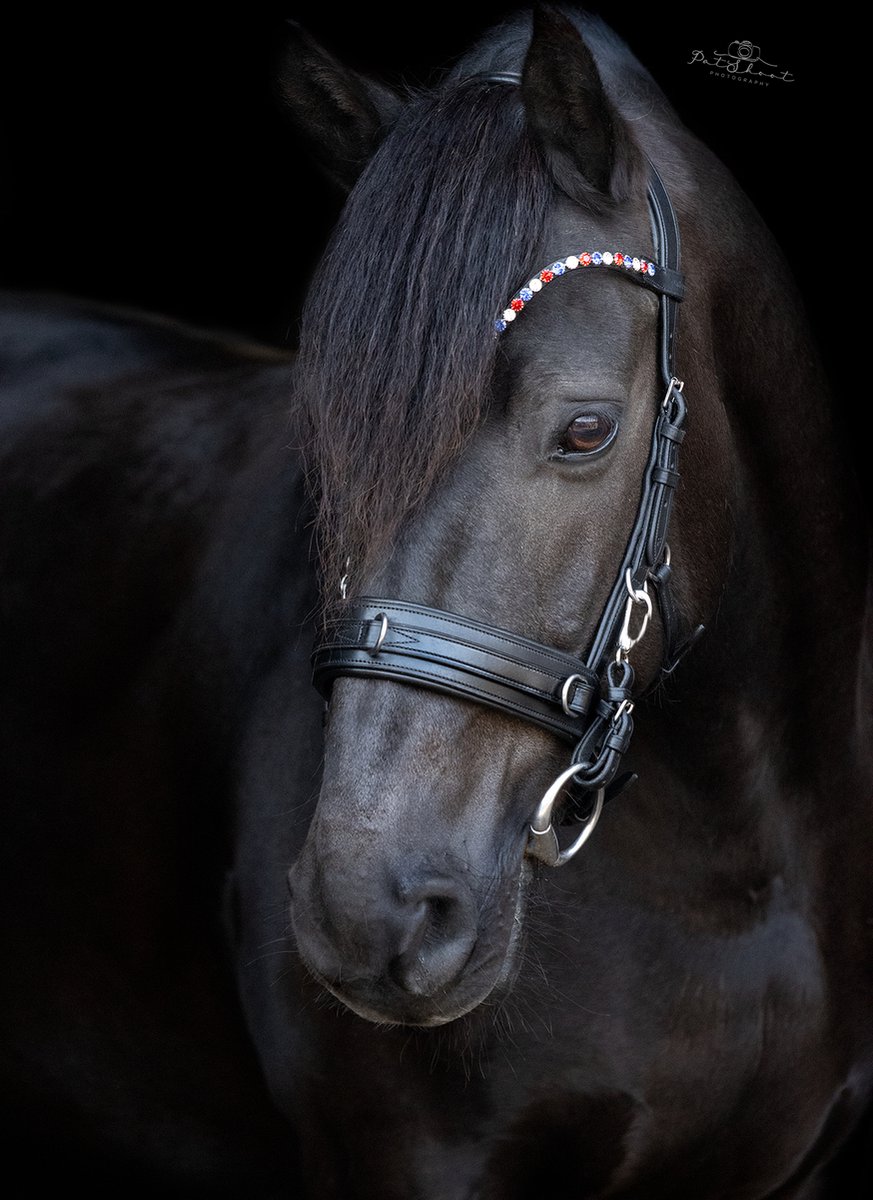 OnHorses Cavesson anatomic Ultra Bridle Full (Kaptoom Hoofdstel)