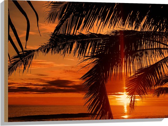Hout - Silhouet van Grote Palmbladeren bij Feloranje Zonsondergang - 80x60 cm - 9 mm dik - Foto op Hout (Met Ophangsysteem)