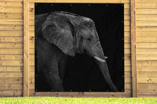 Poster de Jardin Éléphant - Zwart et blanc - Portrait - Animaux - 200x200 cm - Toile de jardin - Poster extérieur