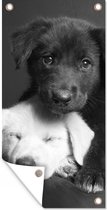 Tuinposter Honden - Puppy - Zwart - Wit - Dieren - 30x60 cm - Tuindoek - Buitenposter