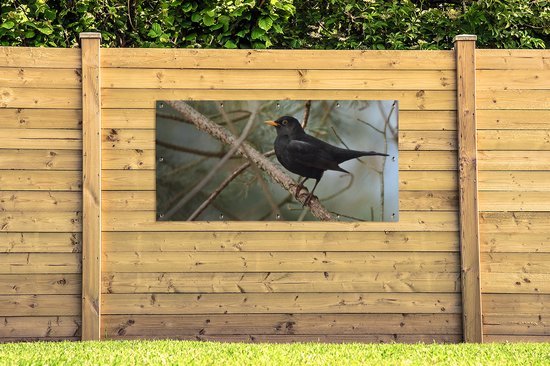 Affiche de clôture Vogel - Merle - Branches - Animaux - 200x100 cm - Toile de jardin