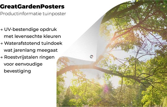 Poster de jardin Arbres - Arbres - Soleil - Herbe - Nature - 40x80 cm - Décoration murale Extérieur - Poster de jardin - Toile de jardin - Poster de clôture - Tableau de jardin