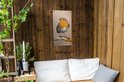 Tuinposter van een roodborstje opgehangen aan een houten wand in een overdekte buitenruimte met witte kussens.