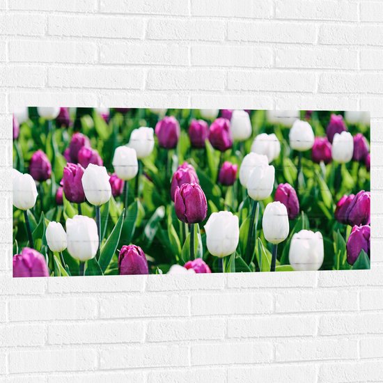 Muursticker - Paars-Witte Bloemenveld - 100x50 cm Foto op Muursticker