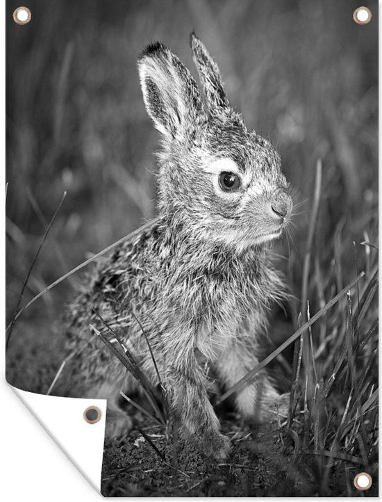 Muurdecoratie buiten Portret baby konijn in het gras - zwart wit - 120x160 cm - Tuindoek - Buitenposter