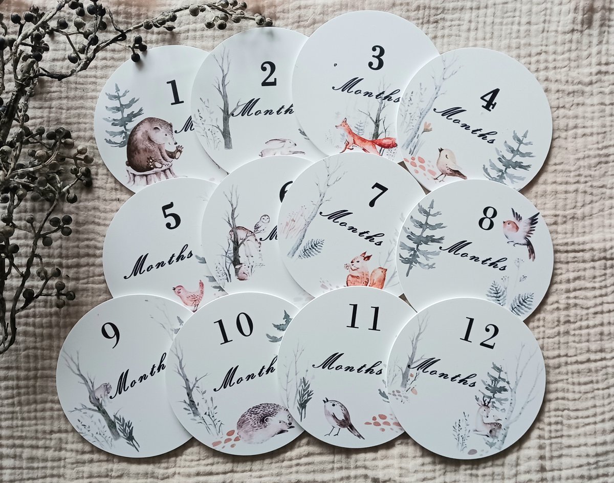 Mijlpaal rondjes - Mijlpaal schijven - Bosdieren - Forest Friends - Forex - 1 maand tm 1 jaar - Baby - Eerste jaar - Kraamcadeau - Babyshower - Geboorte - Zwanger