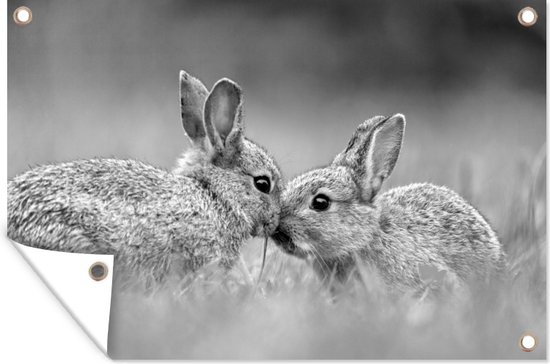 Tuinposter - Tuindoek - Tuinposters buiten - Twee verliefde baby konijnen - zwart wit - 120x80 cm - Tuin