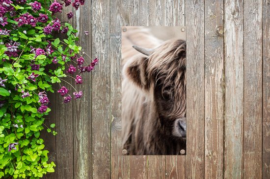 Poster de jardin Highlander écossais - Vache - Fourrure - 40x80 cm - Décoration murale Outdoor - Poster de jardin - Toile de jardin - Poster de clôture - Tableau de jardin