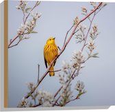 WallClassics - Hout - Gele Vogel op Tak met Bloemen - Mangrovezanger - 50x50 cm - 9 mm dik - Foto op Hout (Met Ophangsysteem)