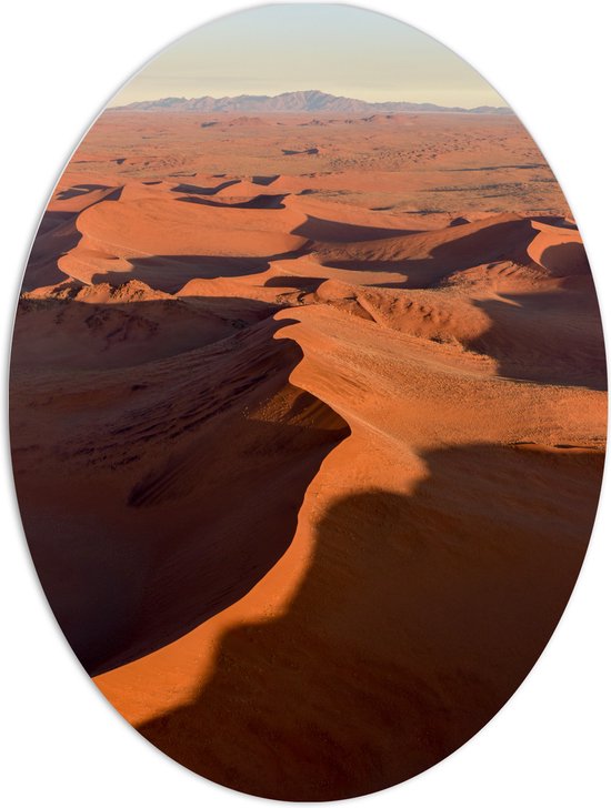 PVC Schuimplaat Ovaal - Uitzicht over Groot Woestijngebied - 60x80 cm Foto op Ovaal (Met Ophangsysteem)