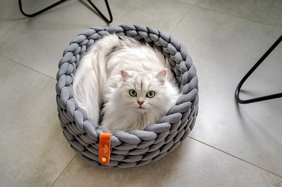 Freestyle klimboom voor katten - Houder voor bloempot of voerbakje
