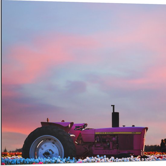 WallClassics - Dibond - Roze Tractor in een Bloemenveld - 80x80 cm Foto op Aluminium (Met Ophangsysteem)