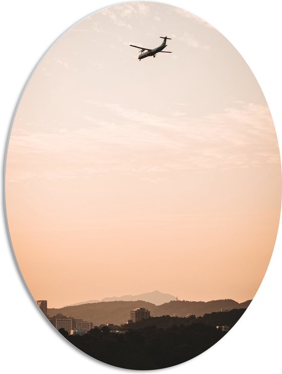WallClassics - PVC Schuimplaat Ovaal - Vliegtuig boven de Stad - 51x68 cm Foto op Ovaal (Met Ophangsysteem)