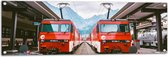 WallClassics - Tuinposter – Twee Treinen bij Station - 120x40 cm Foto op Tuinposter (wanddecoratie voor buiten en binnen)