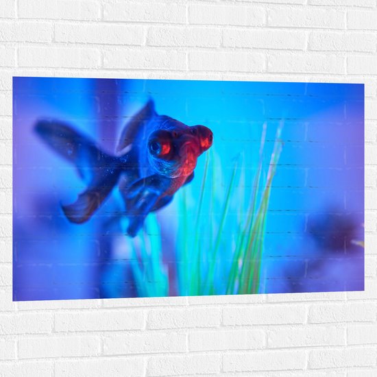 WallClassics - Muursticker - Zwemmende Vis in het Water - 105x70 cm Foto op Muursticker