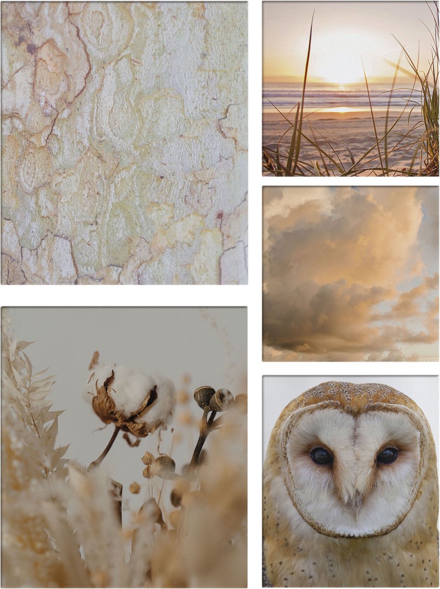 Art for the Home Natuur Canvas Set van 5 80x60 cm
