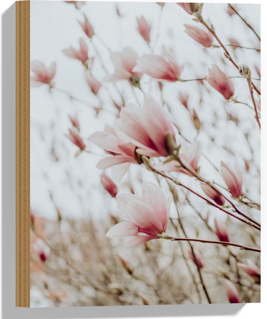 WallClassics - Hout - Zachroze Bloemen in het Veld - 30x40 cm - 9 mm dik - Foto op Hout (Met Ophangsysteem)