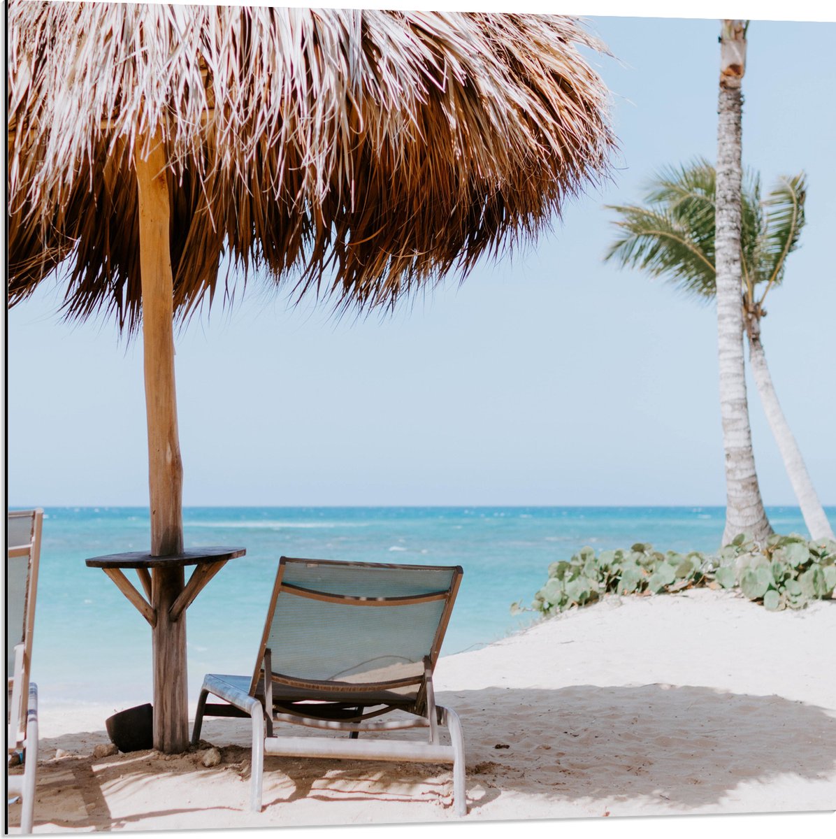 Dibond - Ligbedden onder Rieten Parasol met Palmboom - 80x80 cm Foto op Aluminium (Wanddec