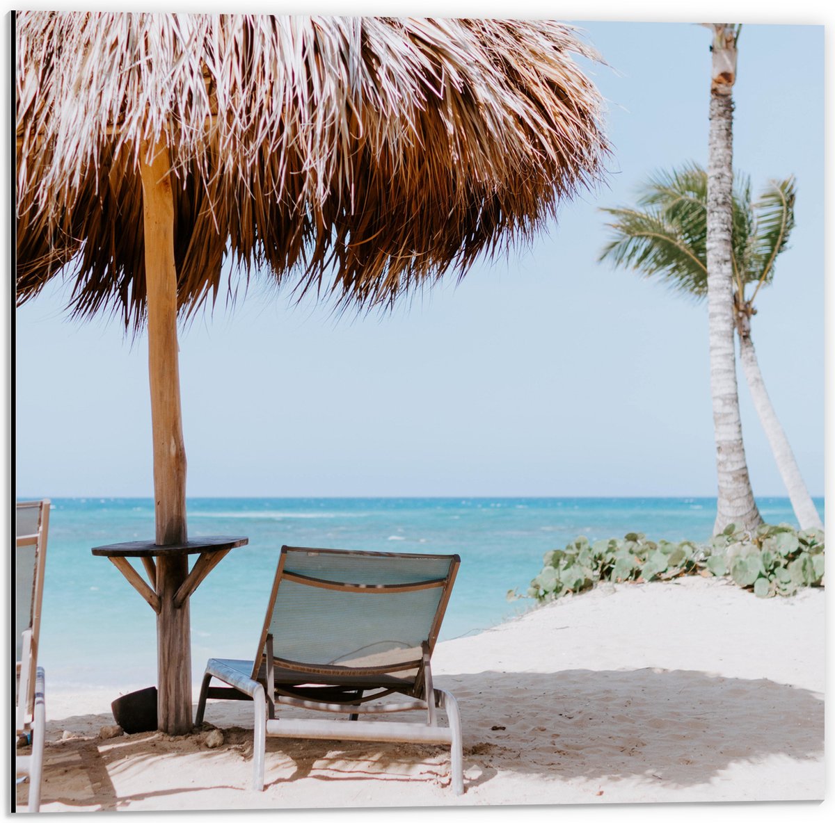 Dibond - Ligbedden onder Rieten Parasol met Palmboom - 50x50 cm Foto op Aluminium (Wanddec