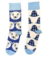 2 Paren Polar Animal Socks - Polar Bear Socks - Seal Socks - Grappige Sokken - Vrolijke Sokken