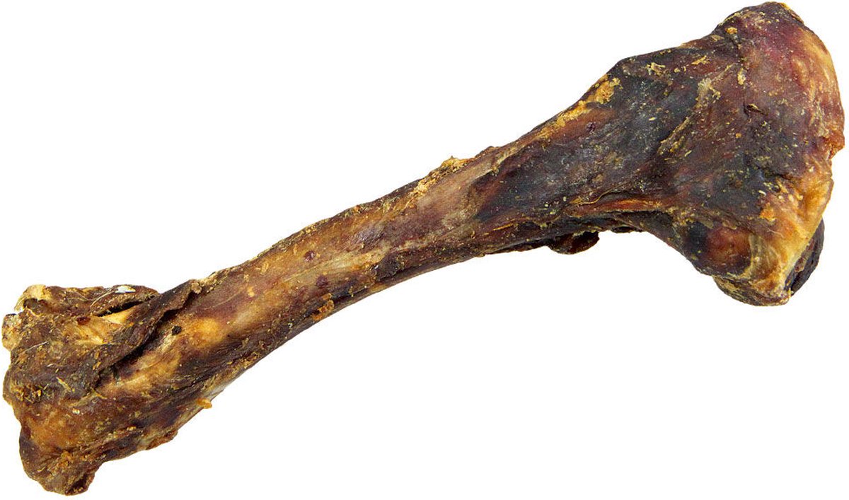 Wildzwijn bot 25cm - Hondensnack - Voordeelpakket 15 stuks - Hondenbot - Hypoallergeen - Kauwbot