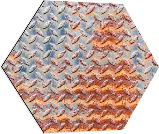 Dibond Hexagon - Print van Metalen Plaat met Relief - 60x52.2 cm Foto op Hexagon (Met Ophangsysteem)