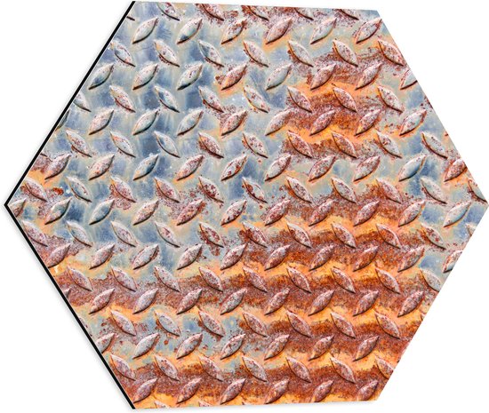 Dibond Hexagon - Print van Metalen Plaat met Relief - 50x43.5 cm Foto op Hexagon (Met Ophangsysteem)