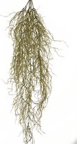 Greenmoods Kunstplanten - Kunstplanten - Hangplant Sudo - Zijde - 110 cm