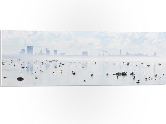 WallClassics - PVC Schuimplaat - Mist bij Skyline achter Meer met Vogels - 90x30 cm Foto op PVC Schuimplaat (Met Ophangsysteem)