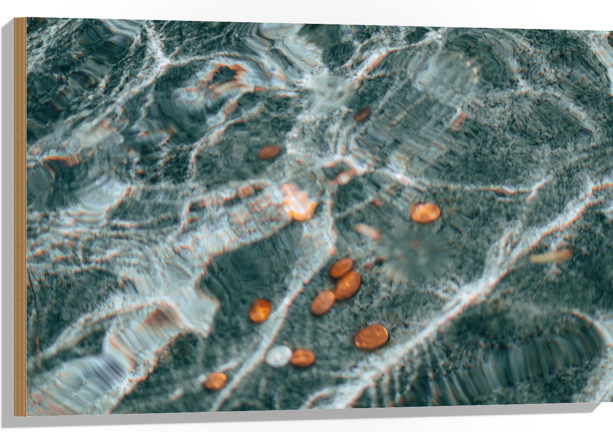 Hout - Kleingeld op Bodem van Fontein - 90x60 cm - 9 mm dik - Foto op Hout (Met Ophangsyst