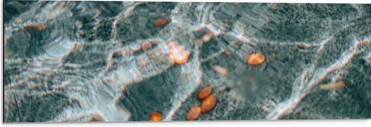 Dibond - Kleingeld op Bodem van Fontein - 90x30 cm Foto op Aluminium (Met Ophangsysteem)