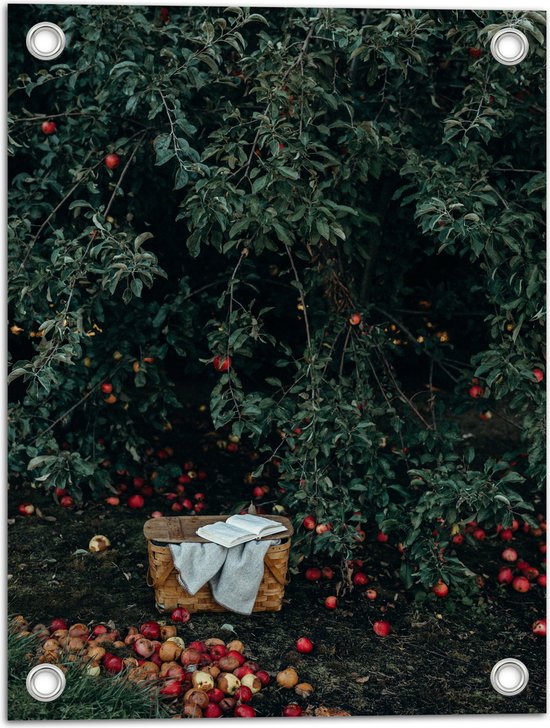 WallClassics - Tuinposter – Mandje voor Appels Plukken - 30x40 cm Foto op Tuinposter (wanddecoratie voor buiten en binnen)