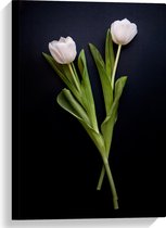 WallClassics - Canvas - Roze Rozen Bloemenduo - 40x60 cm Foto op Canvas Schilderij (Wanddecoratie op Canvas)