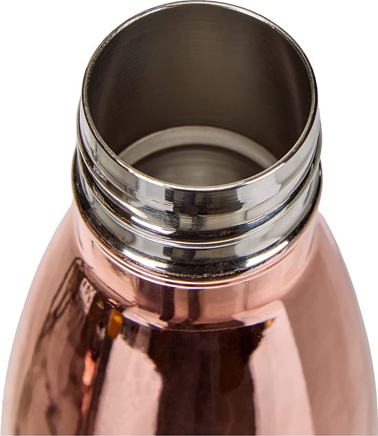 18Oz 500Ml Duble Wand Geïsoleerd Thermoskan Roes... - Vicedeal