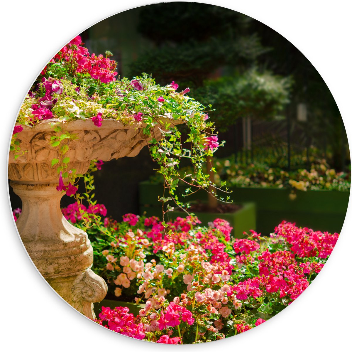 PVC Schuimplaat Muurcirkel - Felroze Bloemen uit Fontein - 60x60 cm Foto op Muurcirkel (me