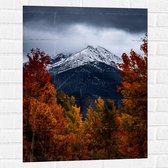 WallClassics - Muursticker - Witte Besneeuwde Bergtop door Herfstkleurig Bos - 60x80 cm Foto op Muursticker