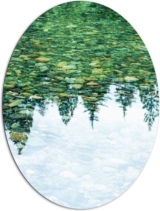 Dibond Ovaal - Stenen in het Water weerspiegelende Bomen - 81x108 cm Foto op Ovaal (Met Ophangsysteem)
