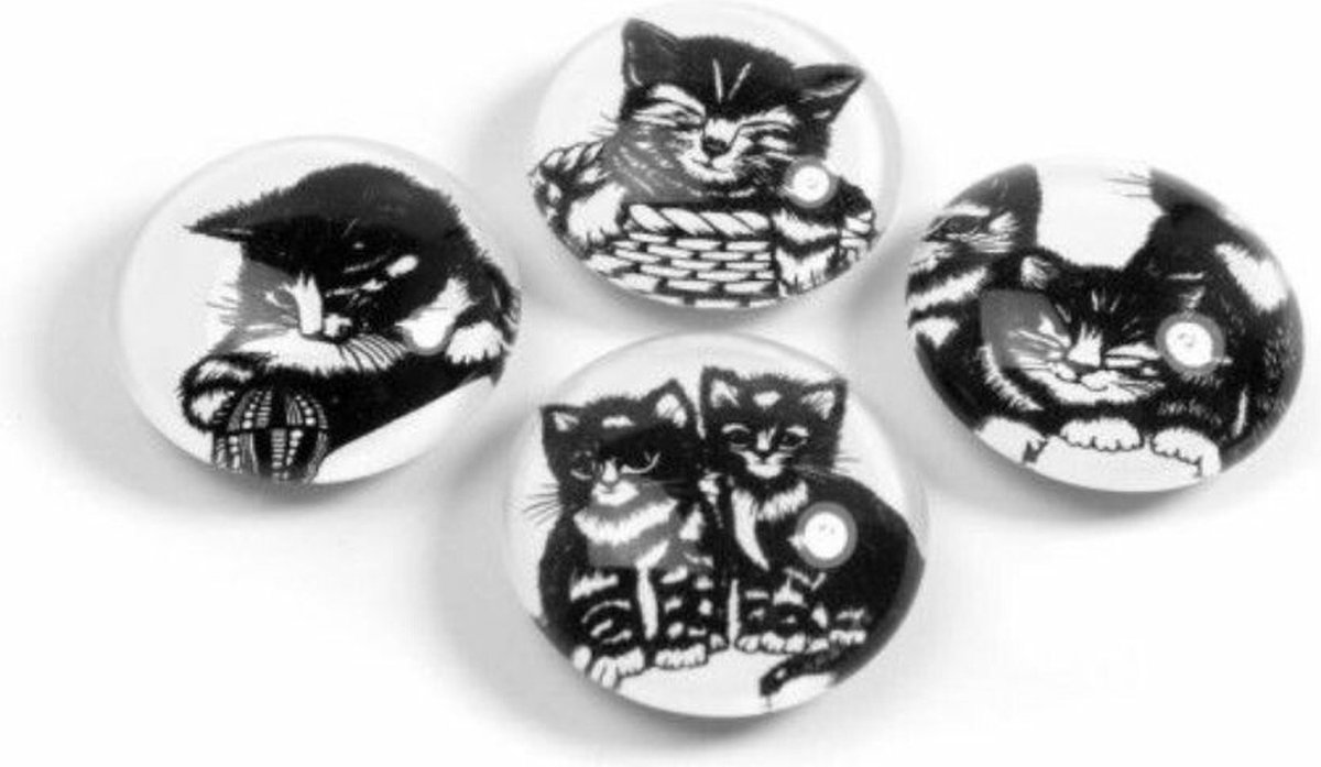 Trendform magneten Swiss Kitty magnet eye