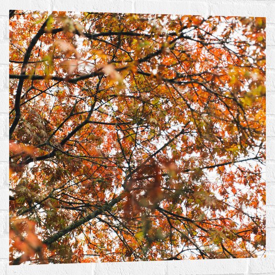 Muursticker - Herfst Bladeren in een Boom - 80x80 cm Foto op Muursticker