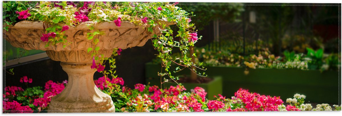 Vlag - Felroze Bloemen uit Fontein - 60x20 cm Foto op Polyester Vlag