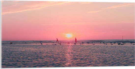 Acrylglas - Roze Zonsondergang aan Zee met Meeuwen - 100x50 cm Foto op Acrylglas (Wanddecoratie op Acrylaat)