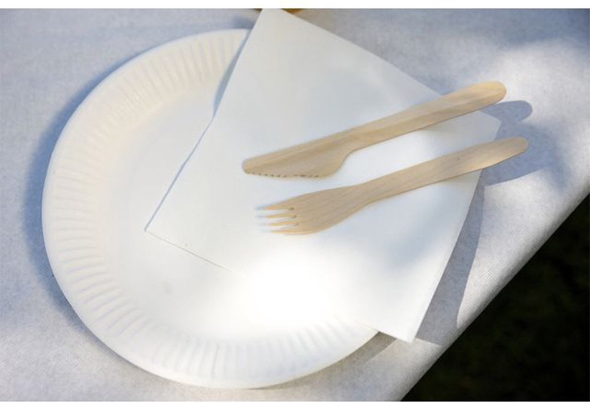 Kartonnen Bordjes Wit Ø23 cm Wegwerp Bord Feest/Verjaardag 100 Stuks bol