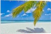 Acrylglas - Palmbladeren Hangend voor Tropisch Eiland met Breed Strand - 75x50 cm Foto op Acrylglas (Met Ophangsysteem)