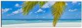 Dibond - Palmbladeren Hangend voor Tropisch Eiland met Breed Strand - 60x20 cm Foto op Aluminium (Wanddecoratie van metaal)