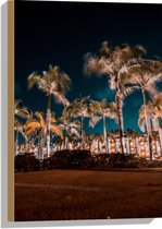 Hout - Verlichte Palmbomen in Nacht - 40x60 cm - 9 mm dik - Foto op Hout (Met Ophangsysteem)