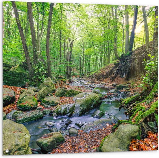 Tuinposter – Groen Bos met Stromend Beekje omringd door Stenen - 100x100 cm Foto op Tuinposter (wanddecoratie voor buiten en binnen)